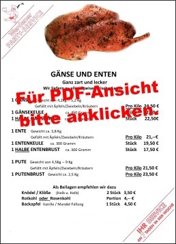 Gänse & Enten